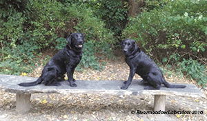 Oak and Fig (father and son) sitting on a concrete bench
