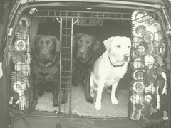 Fife, Oak and Ash in their working vehicle with all their rosettes
